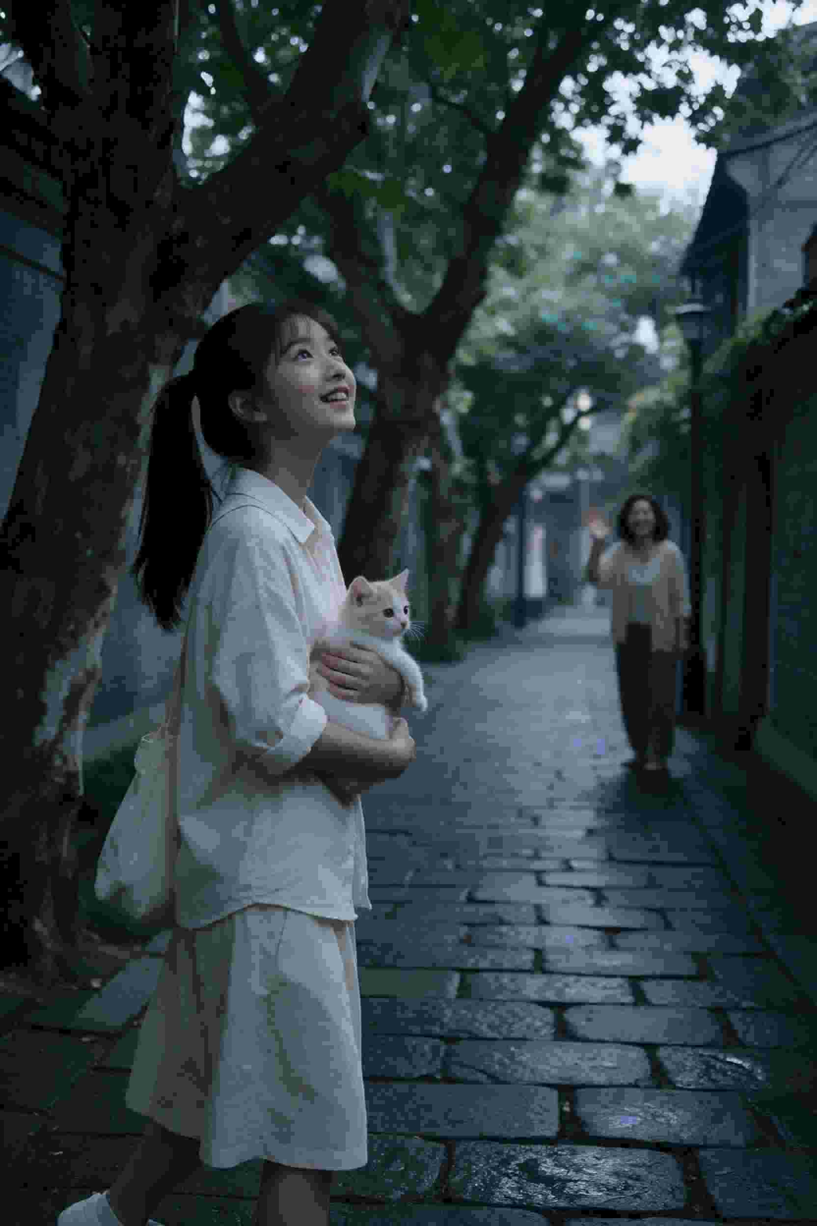 龙虎境界
